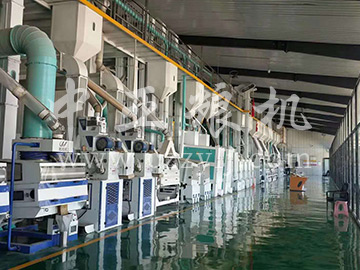 日產(chǎn)300噸精米生產(chǎn)線